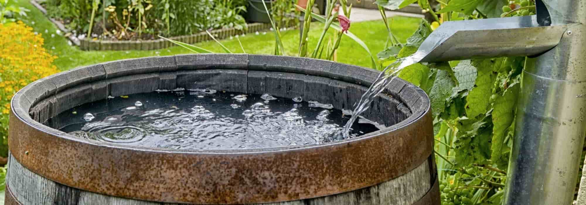 Récupérer l'eau de pluie au jardin - Promesse de Fleurs