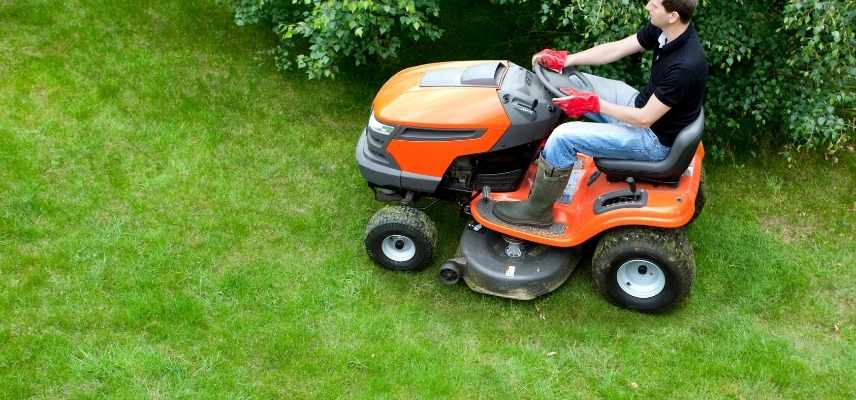 L'herbe tondue est utile au jardin