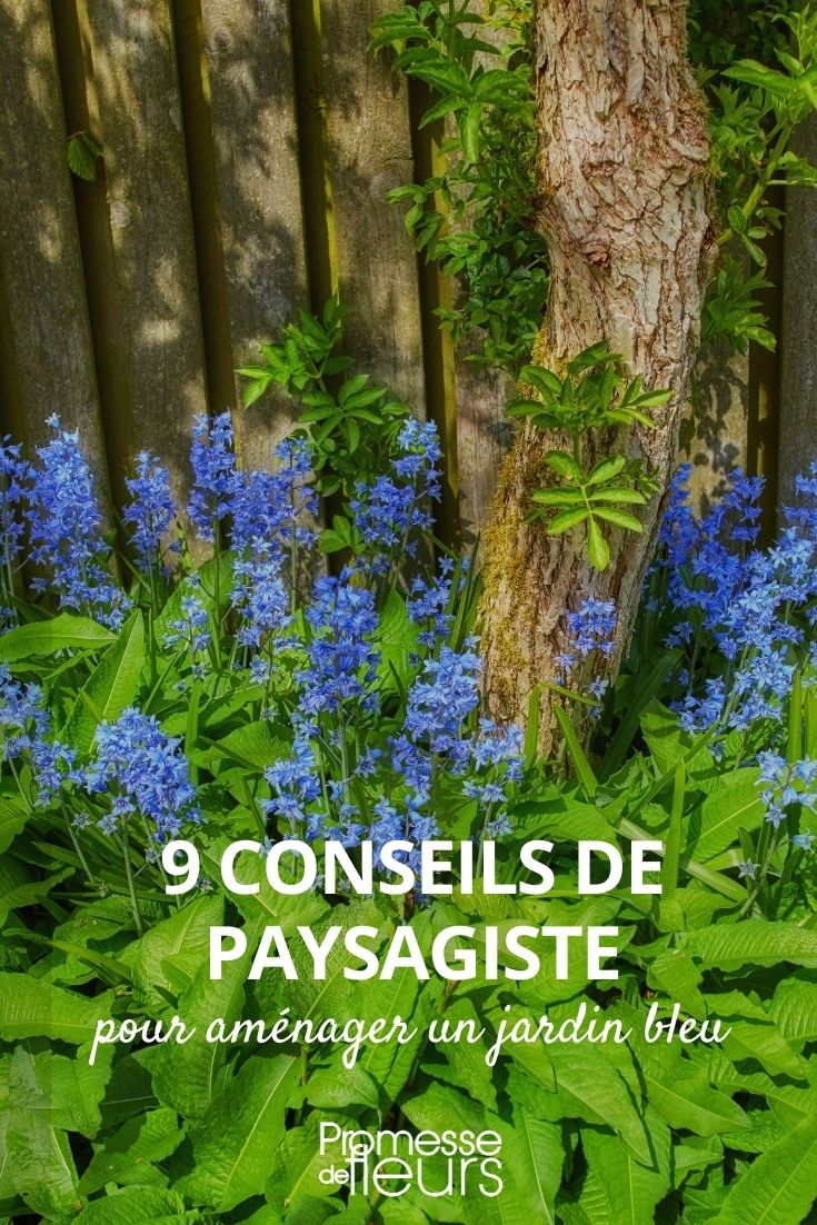 aménager un jardin bleu