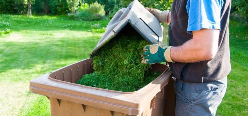 Que faire avec l'herbe coupée après la tonte - Paroles de jardiniers