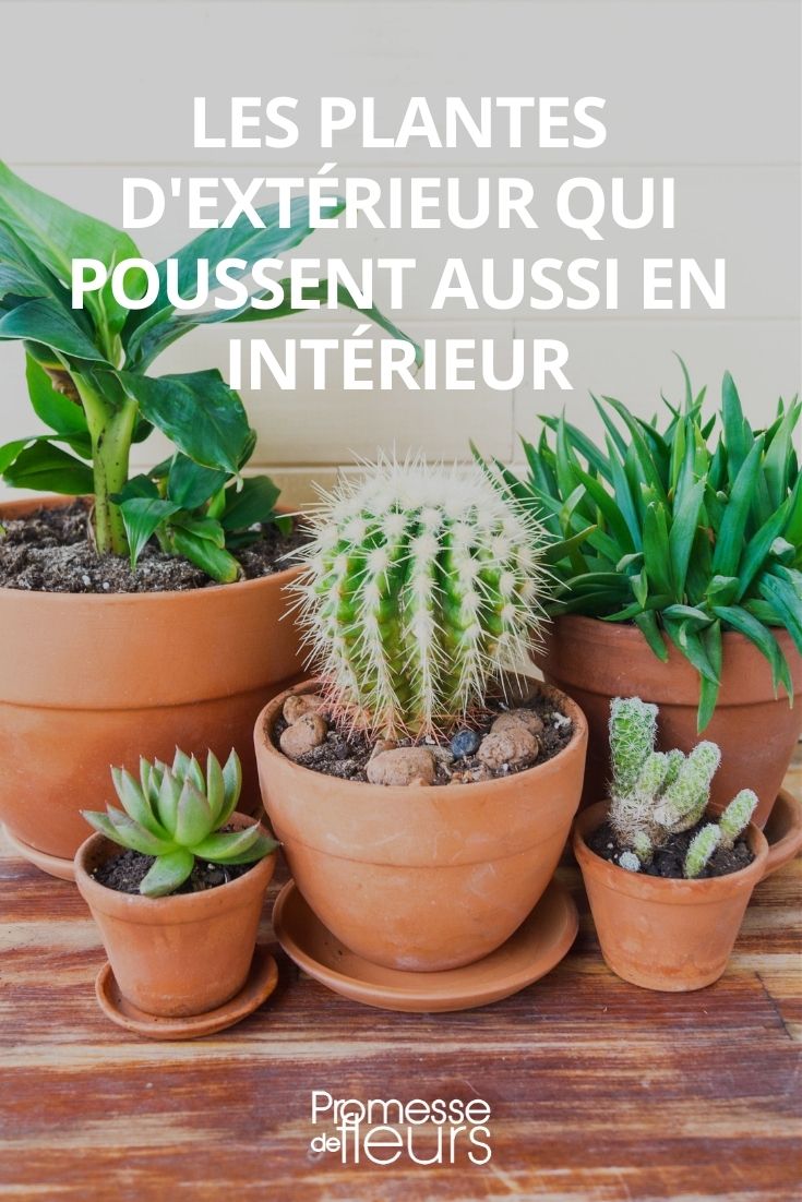 GARDENIX® Housse de Protection pour Plantes d'extérieures à