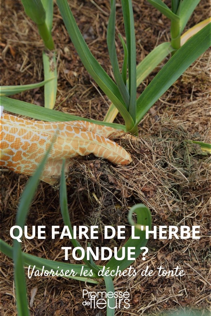 Que faire de l'herbe tondue ? - Promesse de Fleurs