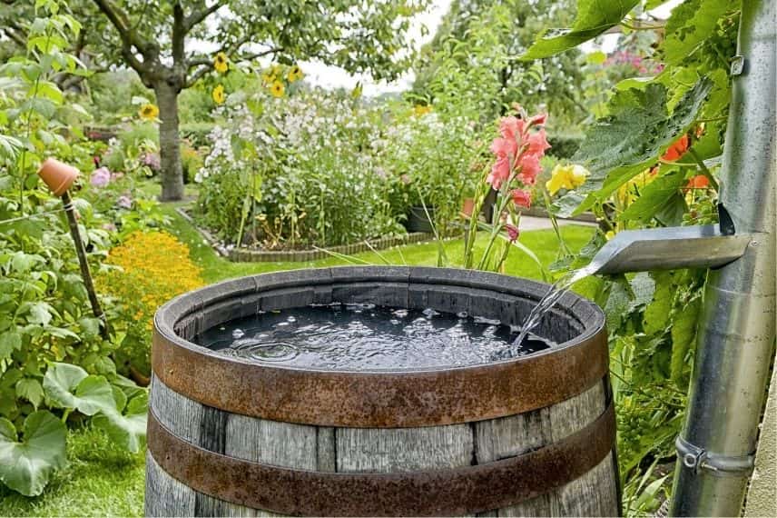 Filet de protection pour réservoir récupérateur d'eau de pluie