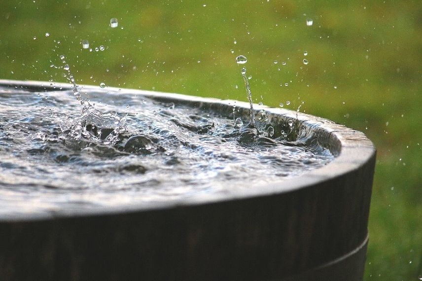 Pourquoi et comment récupérer l’eau de pluie au jardin