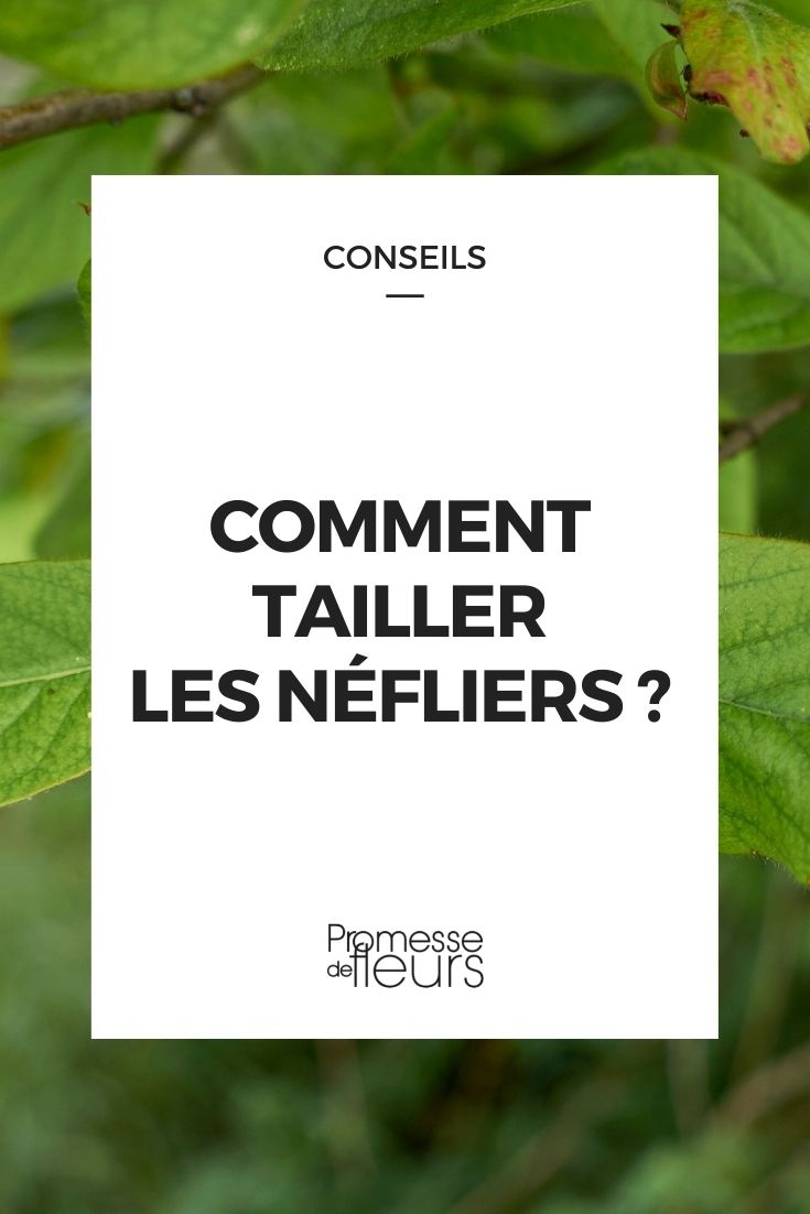 tailler les nefliers