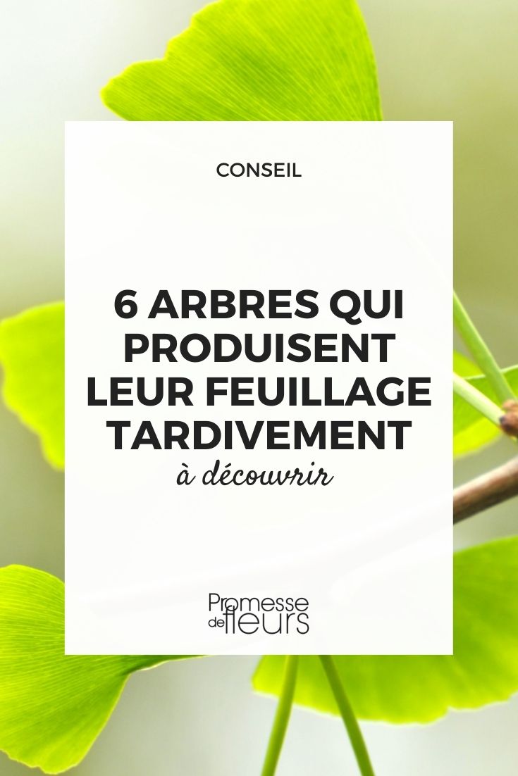 arbres débourrement tardif printemps