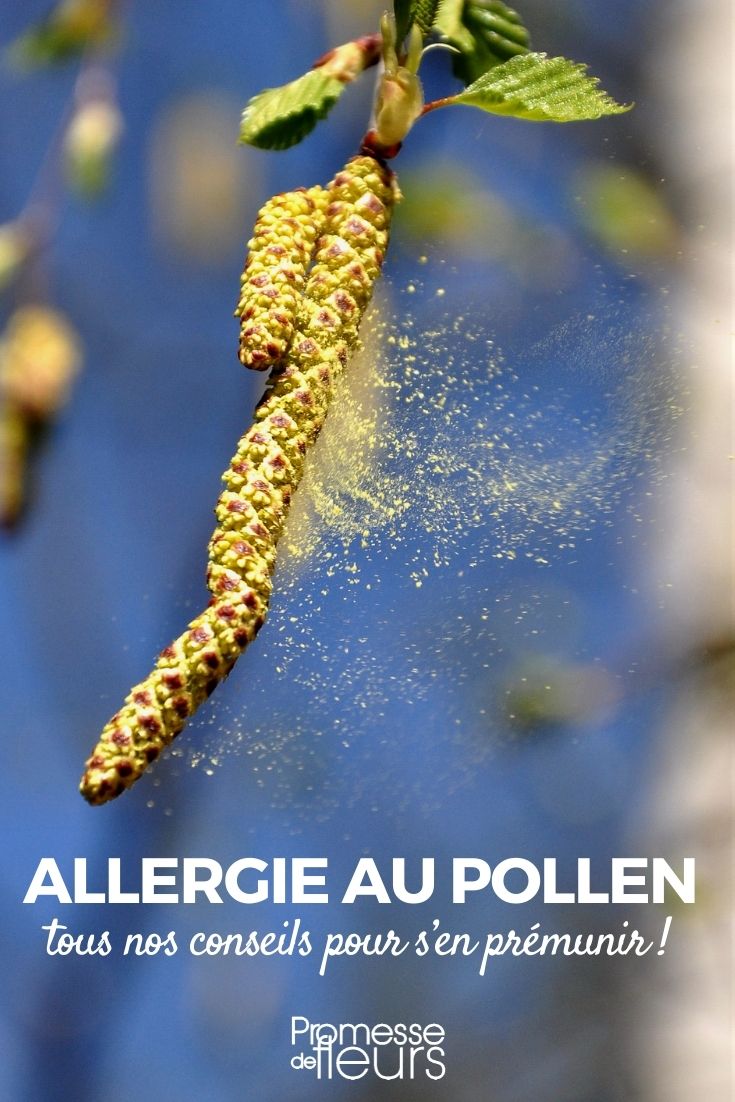 allergies pollen plantes arbres