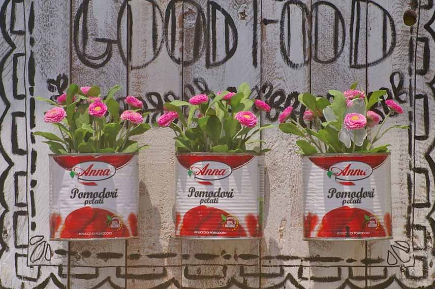 Conserves de tomates recyclées en pots de fleurs
