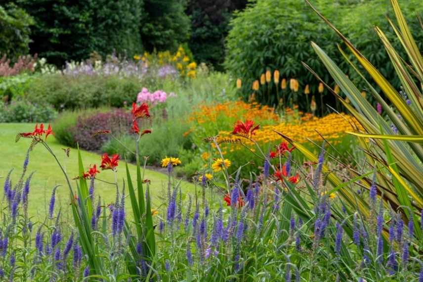 associer fleurs rouges, association fleurs rouges, massif fleurs rouges, comment marier fleurs rouges, idées fleurs rouges jardin