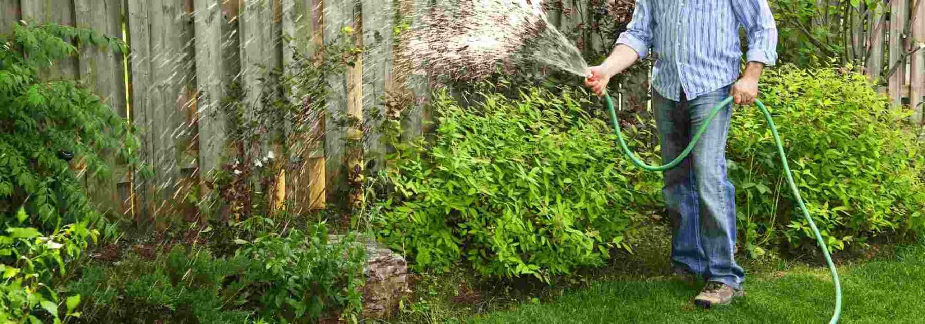 L’humidité du sol au jardin : comment la définir ?