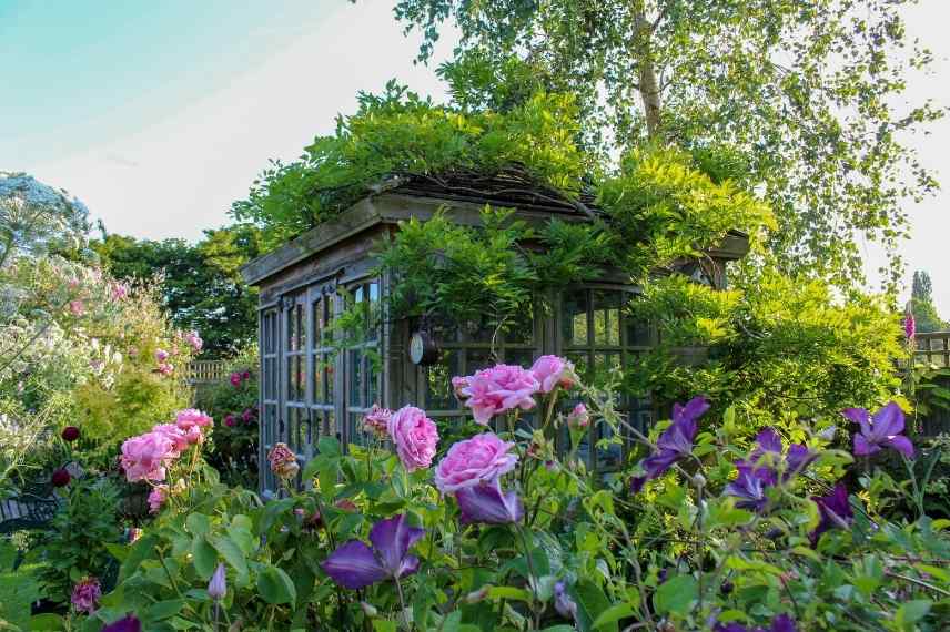 conseils aménagement jardin rose, jardin rose, idées aménagement jardin rose, aménager un jardin rose, jardin monochrome rose