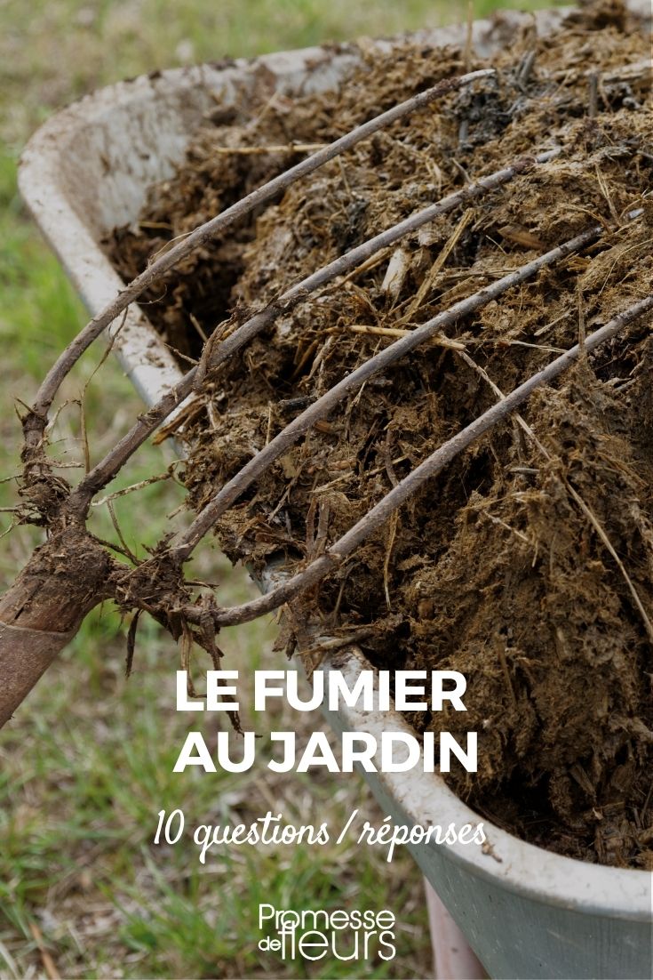 utiliser le fumier au jardin