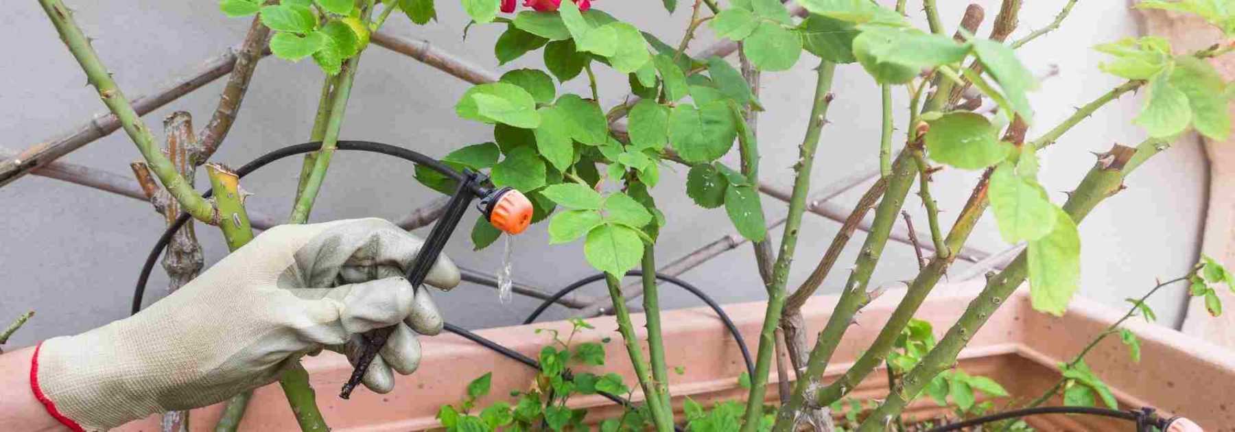 Comment installer un système d'arrosage automatique sur son balcon ? -  Jardiland