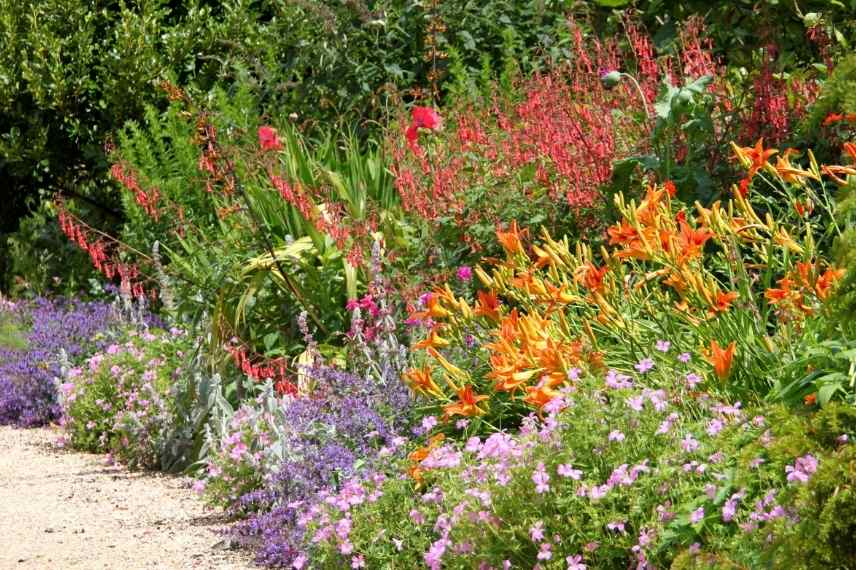 associer les fleurs oranges, association fleur orange, massif fleurs oranges, marier fleurs oranges