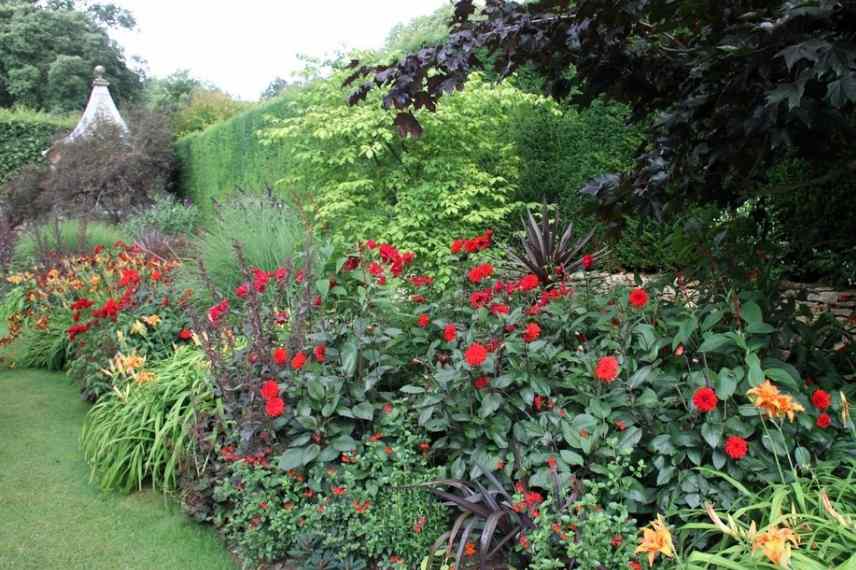 associer fleurs rouges, association fleurs rouges, massif fleurs rouges, comment marier fleurs rouges, idées fleurs rouges jardin