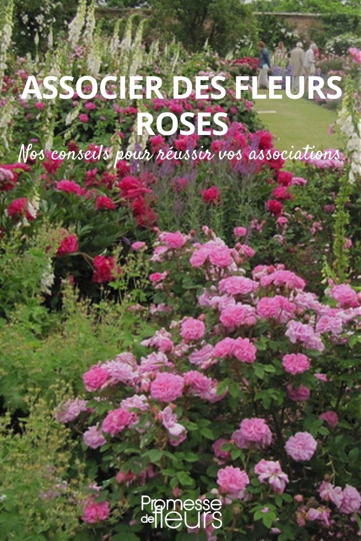 associer des fleurs roses