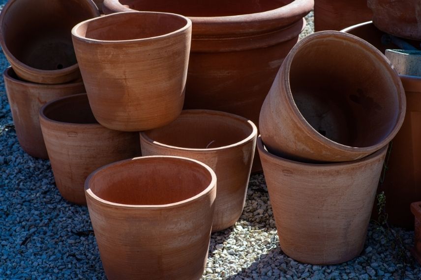 choisir un pot pour la terrasse ou le balcon