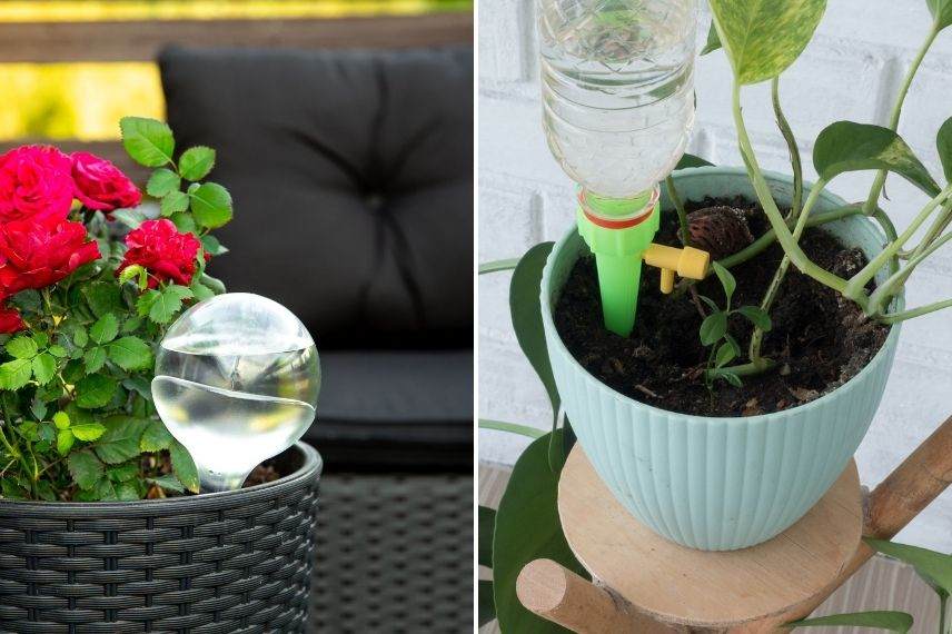 arrosage autonome plante en pot