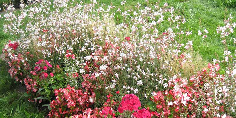 Massif de Gaura