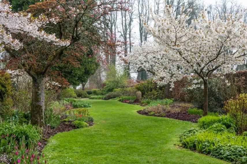 assumer un grand jardin, gérer un grand jardin, grand terrain entretien, grand jardin comment faire