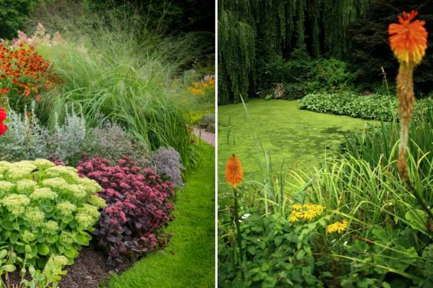 massif des graminées - Photo de LE JARDIN D'ORNEMENT - BOUTURES DE REVES :  LE JARDIN DE SOPHIE