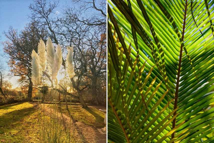 lumiere jardin, exposition jardin, ensoleillement ombre ombrage jardin, luminosite jardin