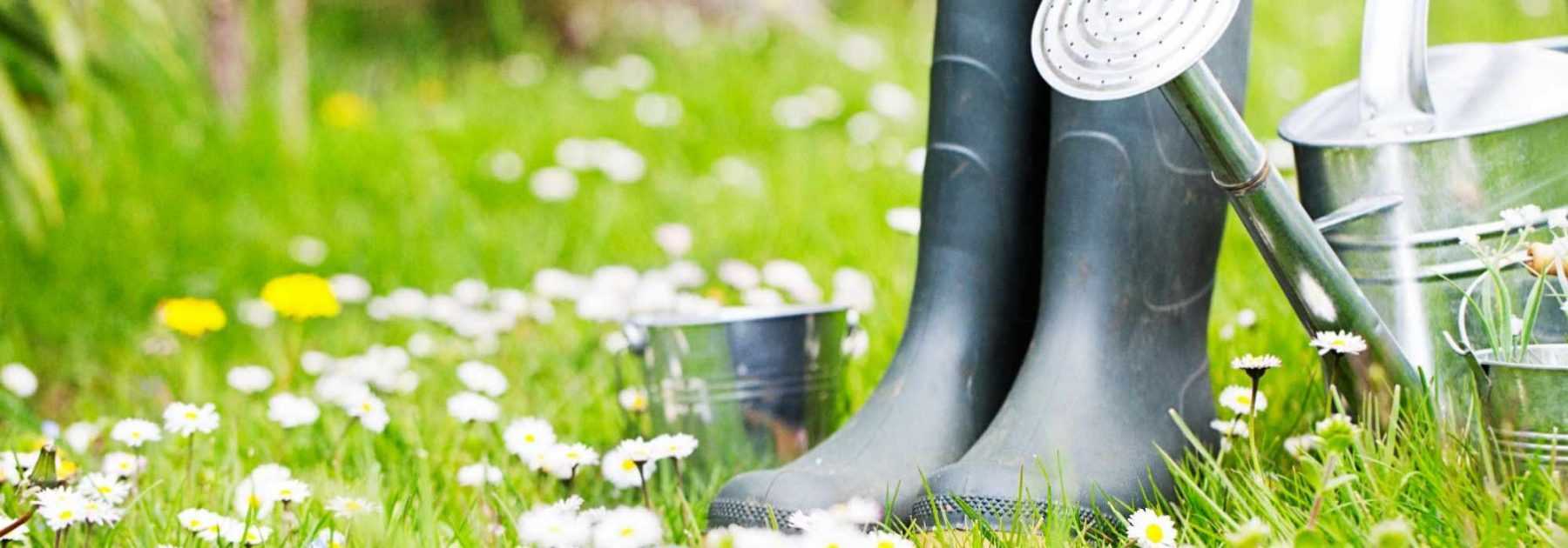 Que faire au jardin en mars ?