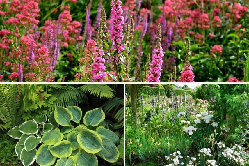 lumiere jardin, exposition jardin, ensoleillement ombre ombrage jardin, luminosite jardin