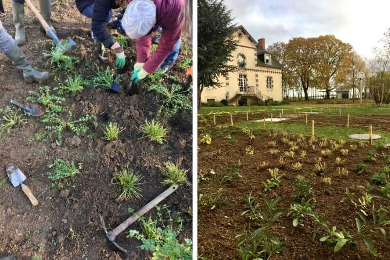 Les filets de protection et de récolte - Jardinet - Équipez votre jardin au  meilleur prix