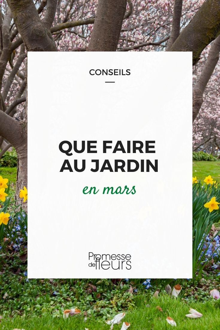 Mars au jardin d'ornement