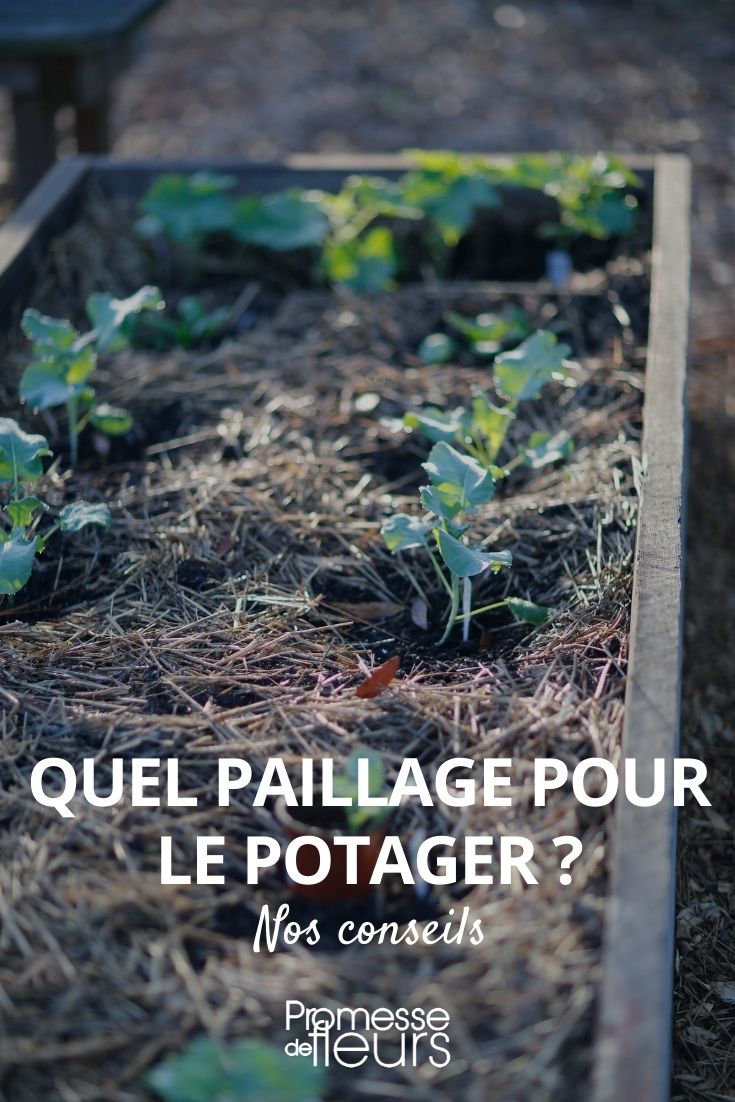 Paillage naturel pour le jardin, comment le choisir - La Pause Jardin