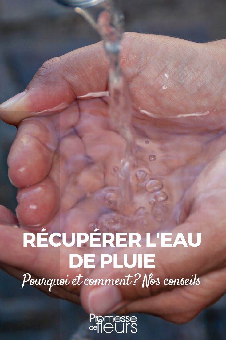 Contre la sécheresse : Récupérer l'eau de pluie - [THEMATIQUE]