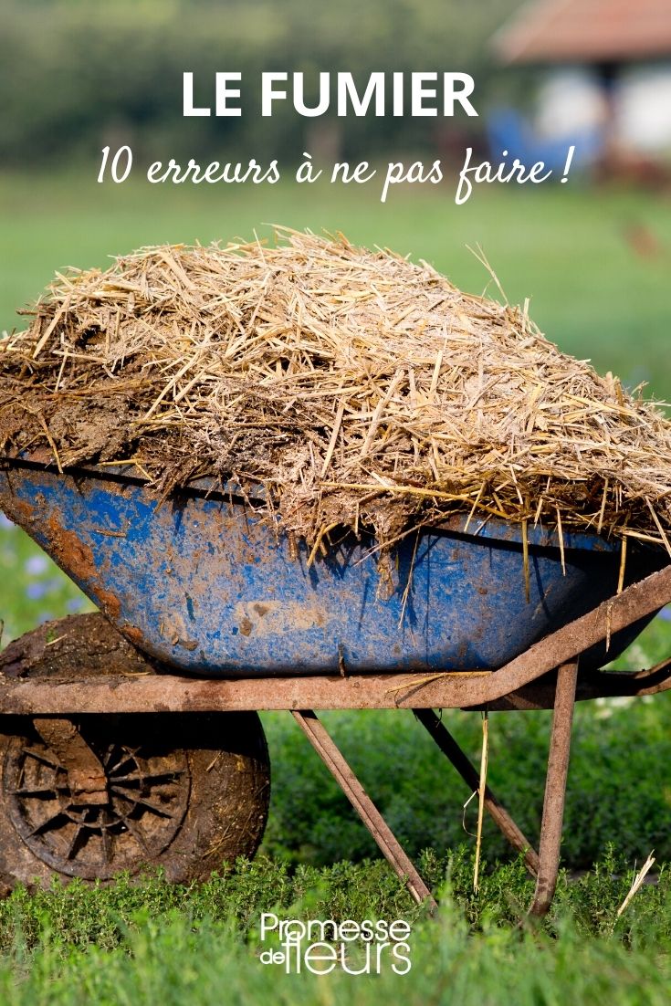 Erreurs à éviter fumier au jardin