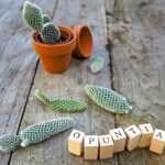 Bouturer un opuntia, le cactus raquette