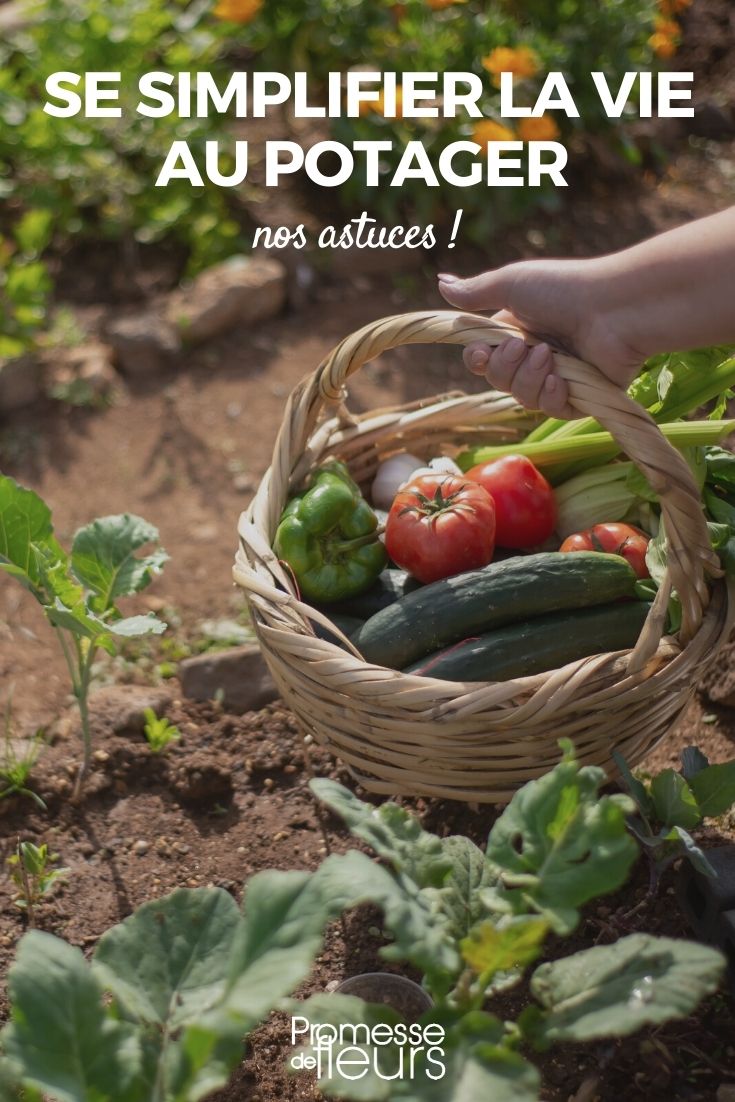 astuces simples jardin potager