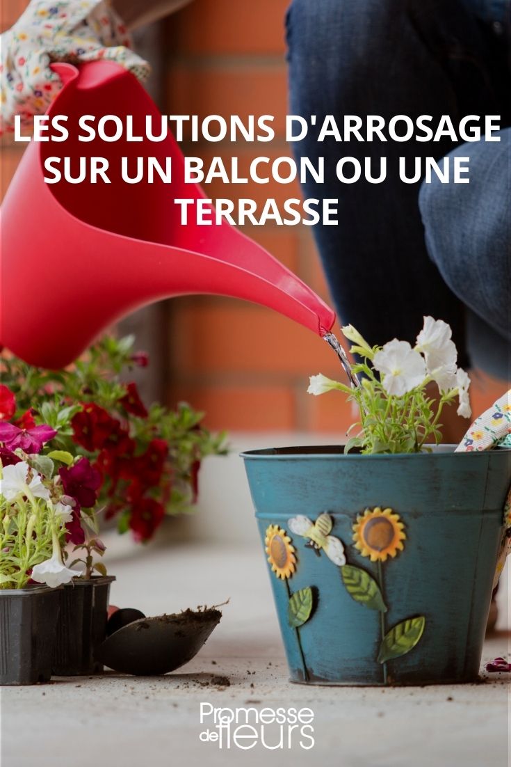 Arrosage automatique plantes intérieur : 7 astuces pour votre absence