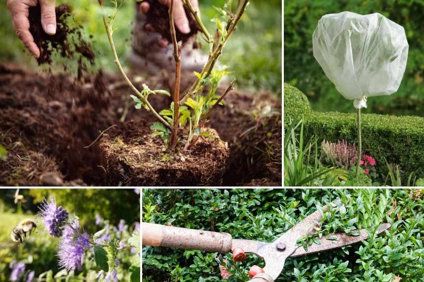 Que faire au jardin en avril