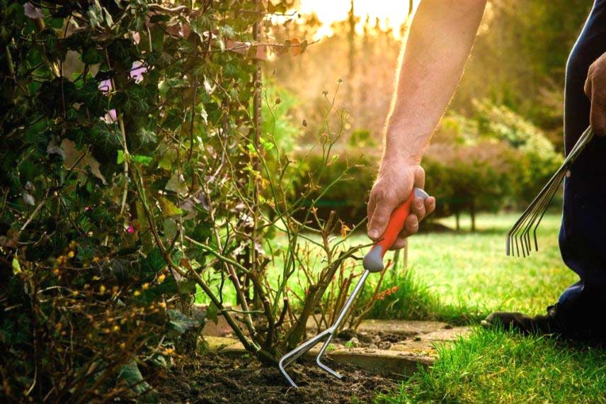 Que faire au jardin en avril