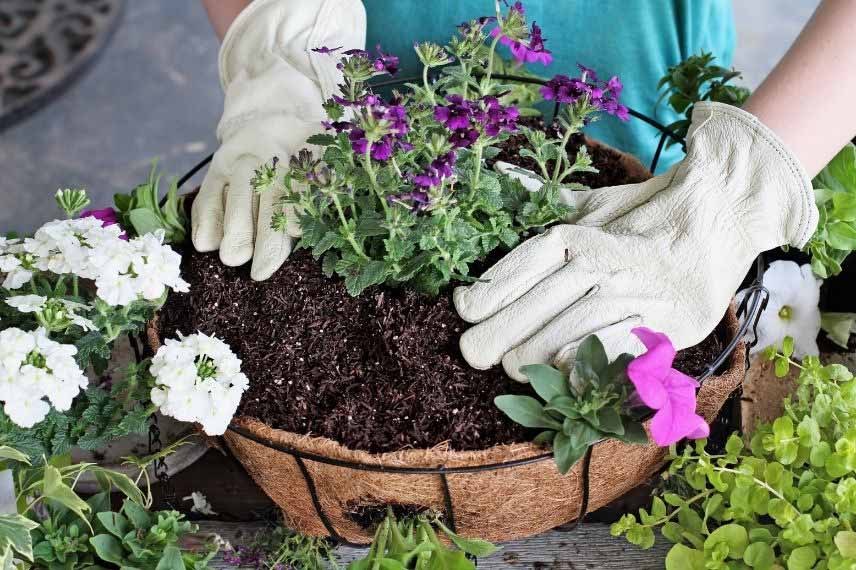 Que faire au jardin en avril