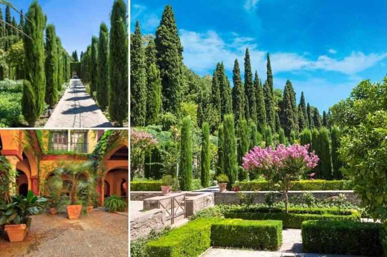 Aménager un jardin espagnol ou andalou Promesse de Fleurs — free download