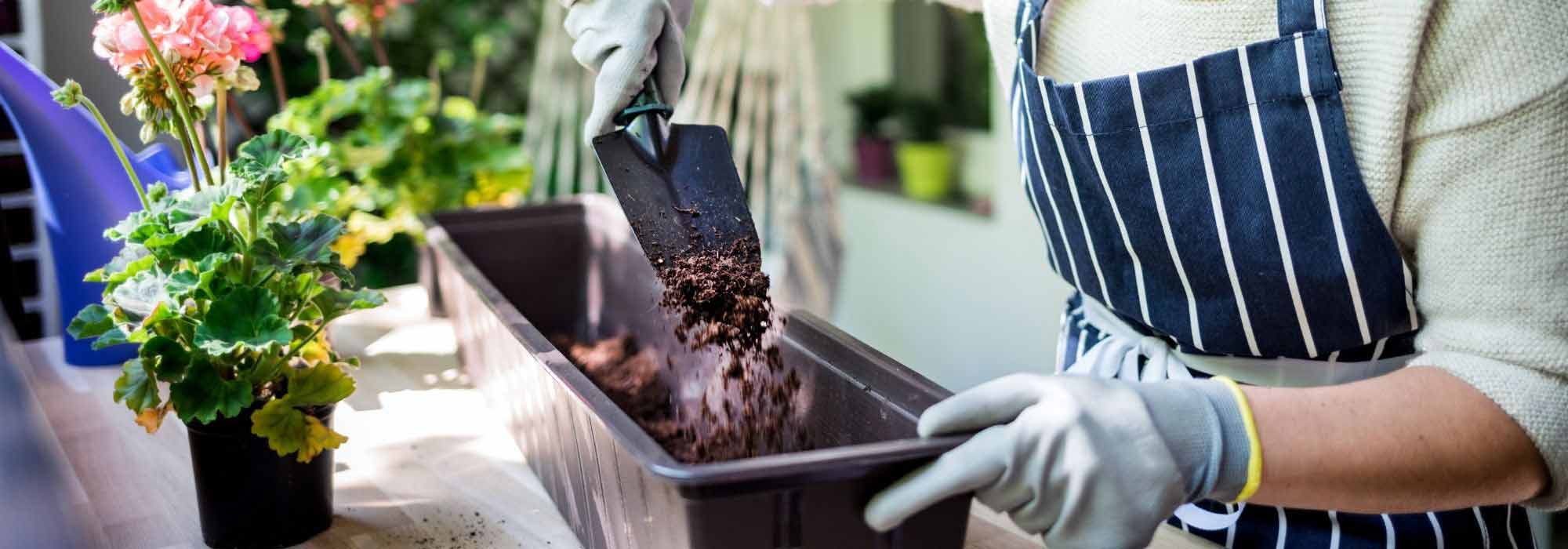 Réussir la composition de sa jardinière de balcon ou de terrasse