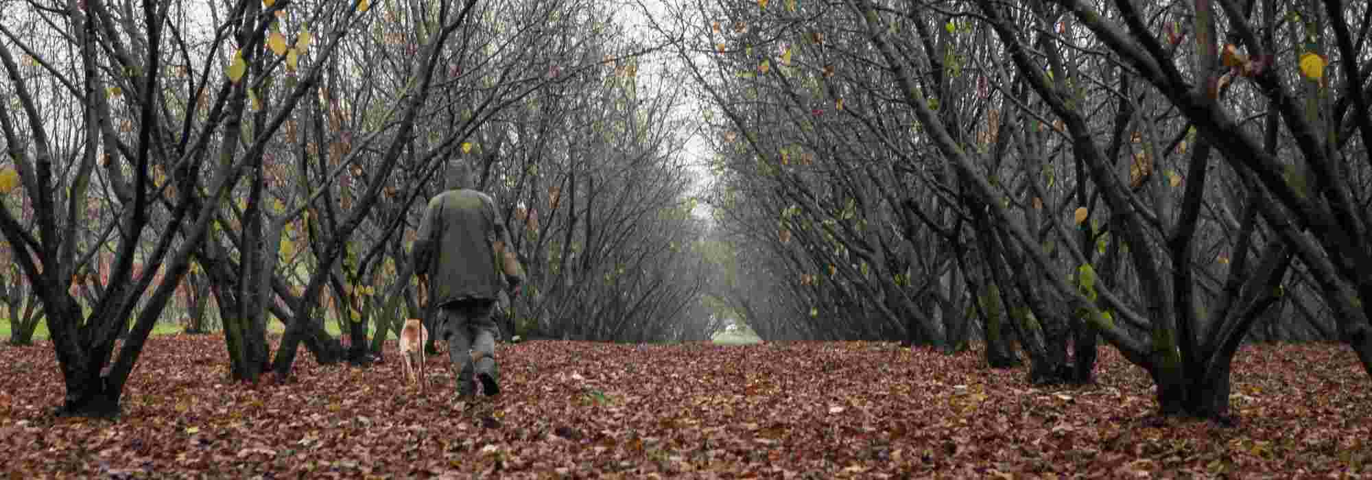 Pralin authentique enrichi en mycorhizes. Comptoir des Jardins