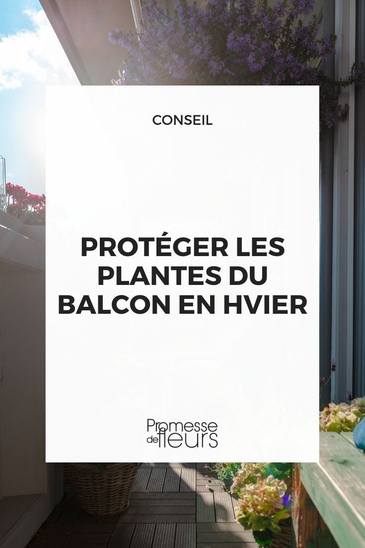 protéger plantes balcon hiver