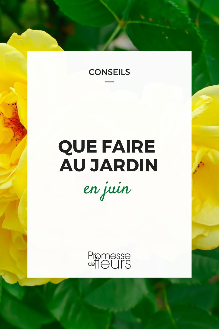 jardinage mois de juin