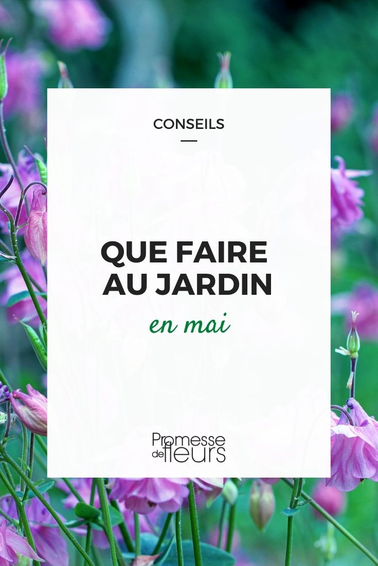 Que faire au jardin en mai