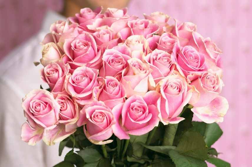 langage des roses, roses signification, roses sens