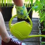 Comment cultiver des légumes ou des fruits sur une terrasse ?