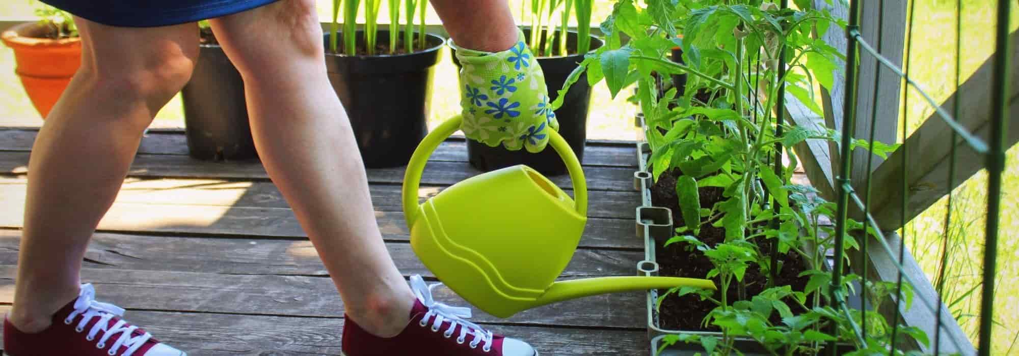 Comment cultiver des légumes ou des fruits sur une terrasse ?
