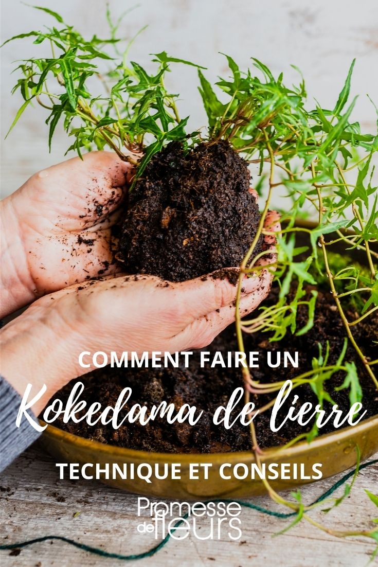 tuto kokedama de lierre