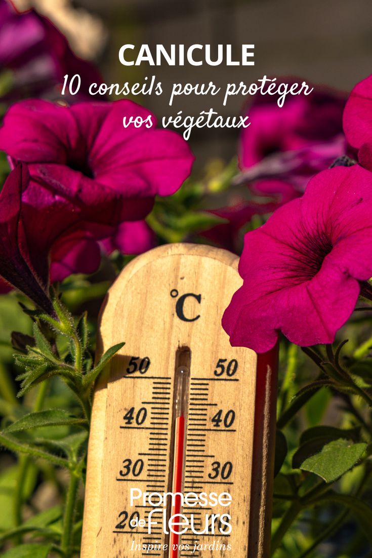 protéger un jardin de la canicule